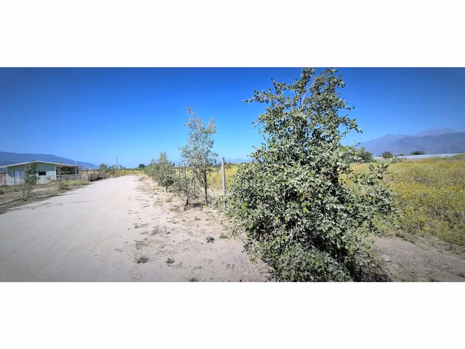 Venta de parcela plana de  5.752 m2., en Quillota. 2.495 UF.