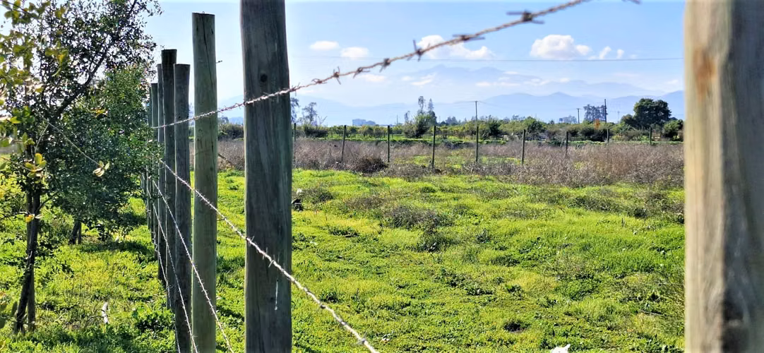 Venta de parcela plana de  5.752 m2., en Quillota. 2.495 UF.