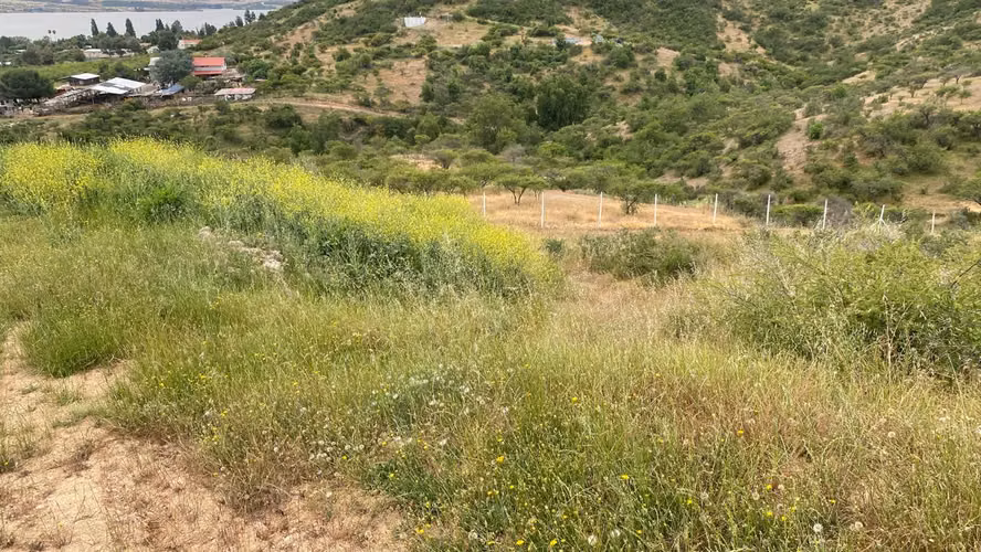 Oportunidad de Inversión o Proyecto en Lago Rapel de 5.000mt2
