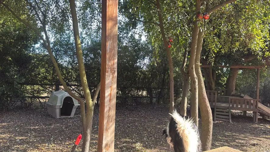 Arriendo Parcela con Amplia Casa en Mantagua (175433)