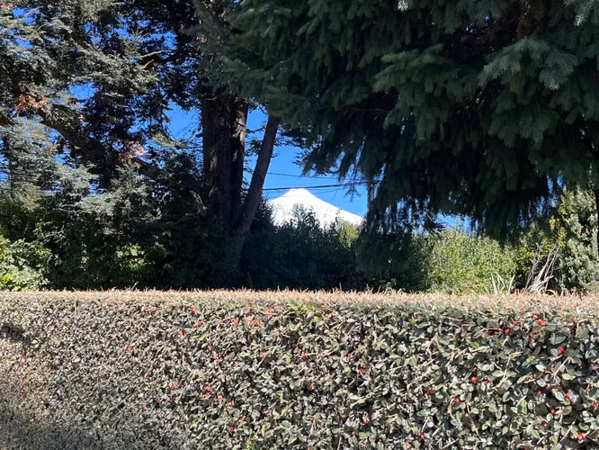 Venta casa Camino Internacional a 1 cuadra Supermercadp Eltit