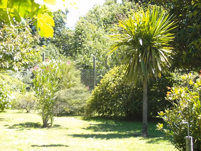 Venta casa Camino Internacional a 1 cuadra Supermercadp Eltit