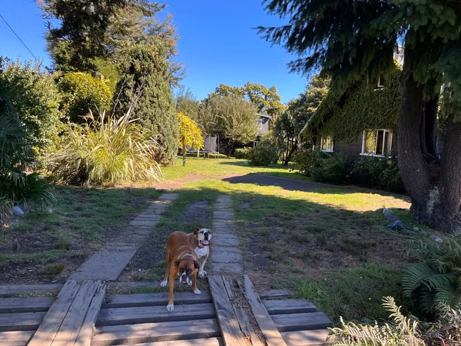 Venta casa camino Internacional KM5