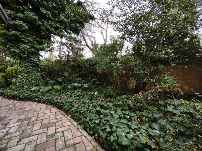 TERRENO CON ANTEPROYECTO APROBADO (175498)