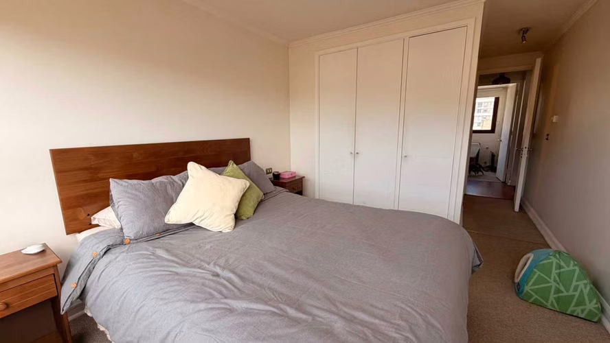 Vendo departamento pasos Udec 2 dormitorios (175504) - Imagen 9