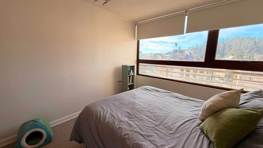 Vendo departamento pasos Udec 2 dormitorios (175504)