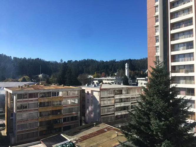 Vendo departamento pasos Udec 2 dormitorios (175504) - Imagen 15