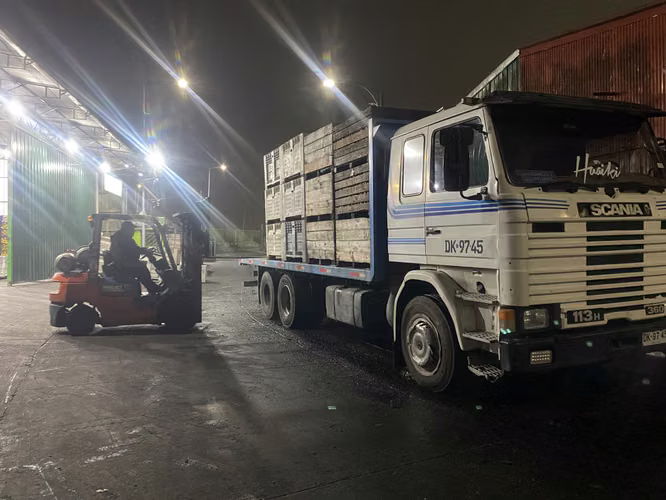 Scania 113h