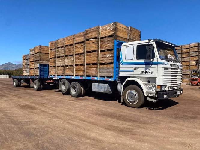 Scania 113h