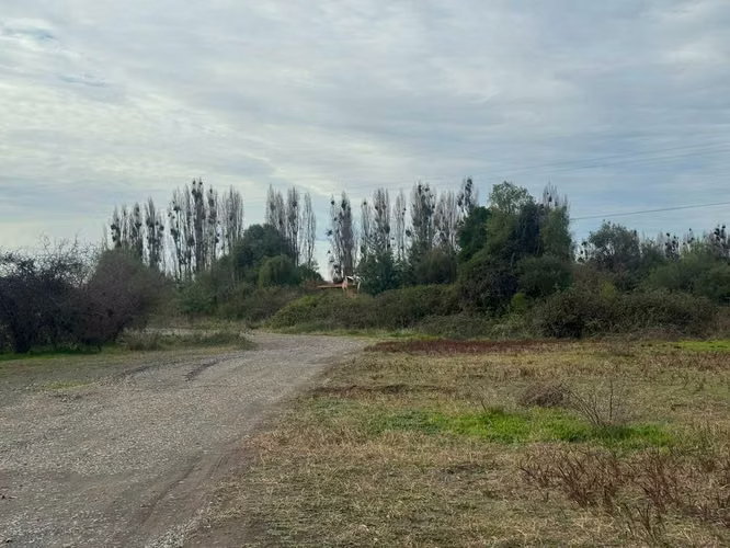 parcela de 5000m2 en portal quillon  (175523)