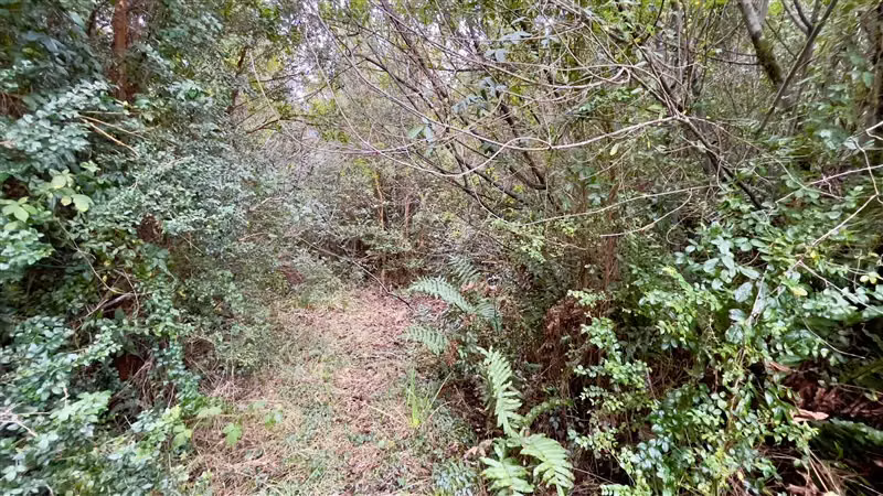 PARCELA Rio Pescado KM5