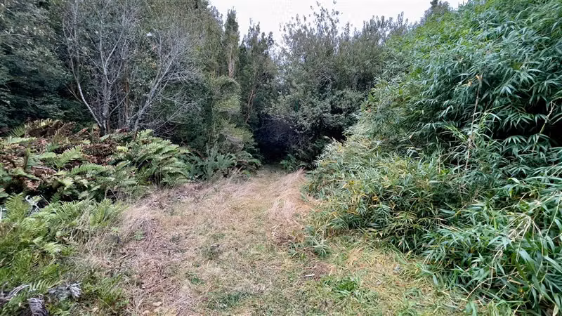 PARCELA Rio Pescado KM5