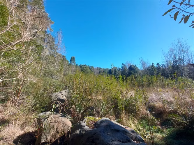 PARCELA Por ruta V225, camino ensenada KM 37,5