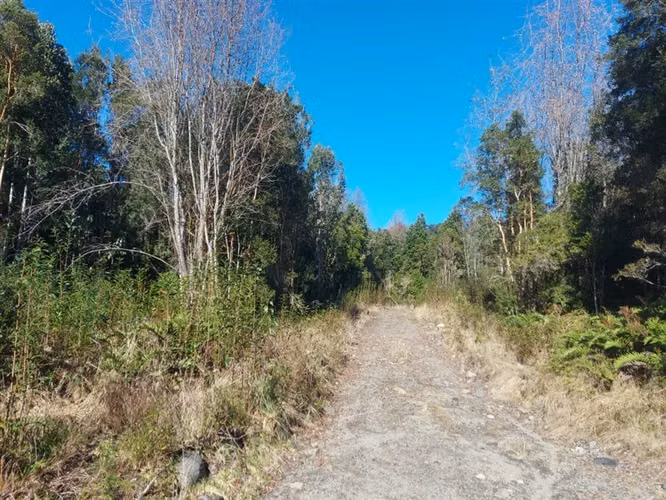 PARCELA Por ruta V225, camino ensenada KM 37,5