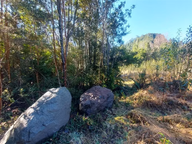 PARCELA Por ruta V225, camino ensenada KM 37,5
