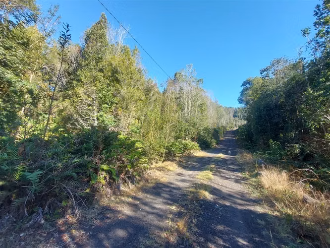 PARCELA Por ruta V225, camino ensenada KM 37,5