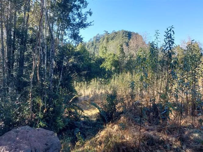 PARCELA Por ruta V225, camino ensenada KM 37,5