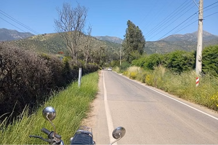 Venta terreno paltos en productividad