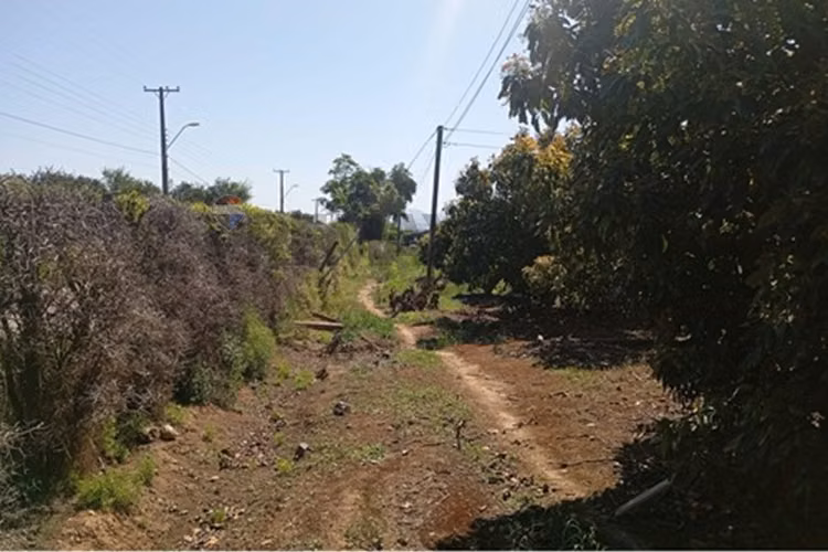 Venta terreno paltos en productividad