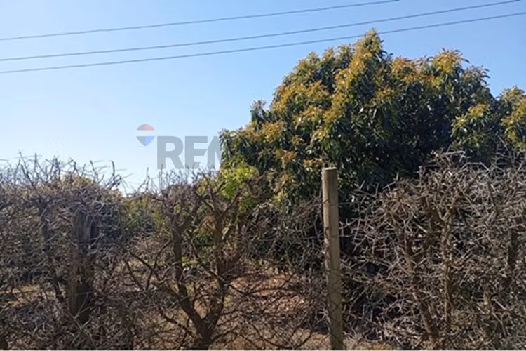 Venta terreno paltos en productividad