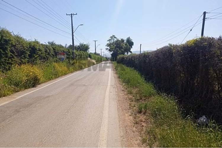 Venta terreno paltos en productividad