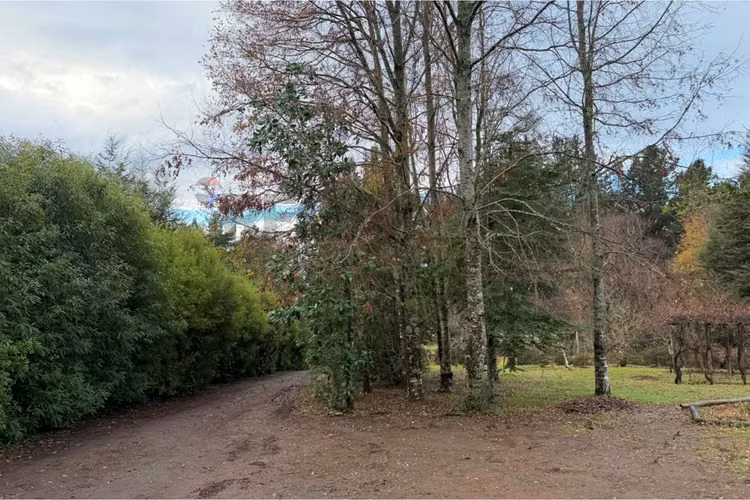 Arriendo entre villarrica y pucón