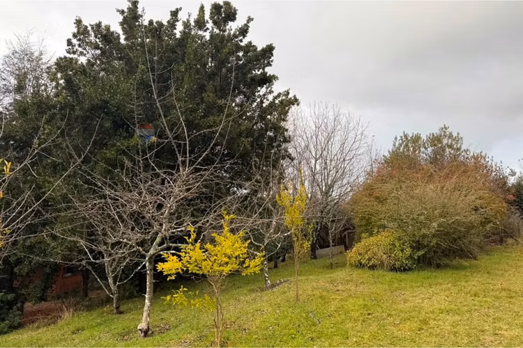 Arriendo entre villarrica y pucón