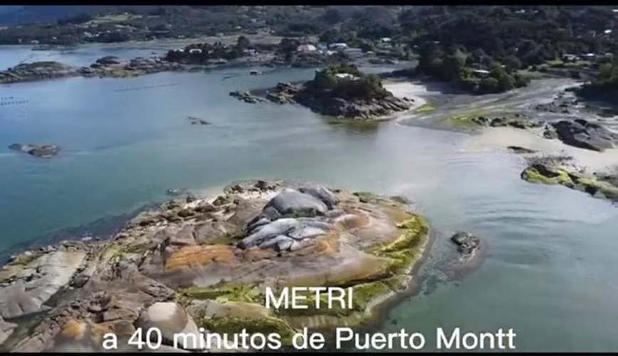 Parcela Media Hectárea/ Carretera Austral