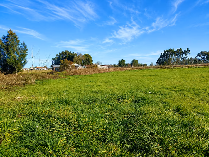 PARCELA PLANA 5000MTS FRUTILLAR CON CONSTRUCCIÓN DE MADERA