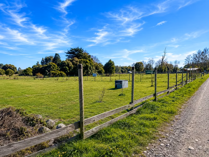 PARCELA PLANA 5000MTS FRUTILLAR CON CONSTRUCCIÓN DE MADERA