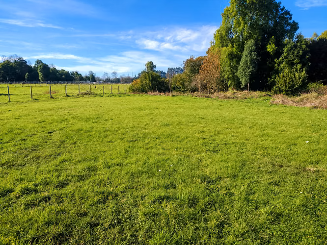 PARCELA PLANA 5000MTS FRUTILLAR CON CONSTRUCCIÓN DE MADERA