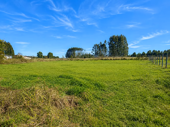 PARCELA PLANA 5000MTS FRUTILLAR CON CONSTRUCCIÓN DE MADERA