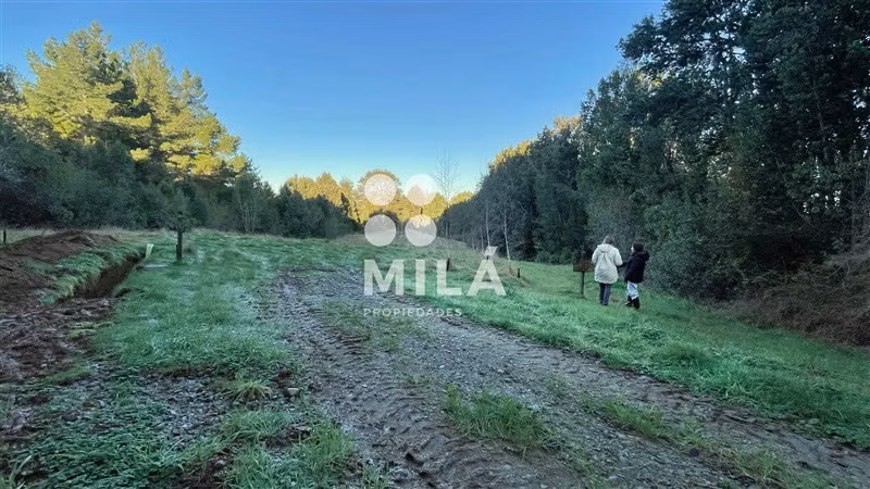 Venta parcela rodeada de naturaleza y excelente ubicación