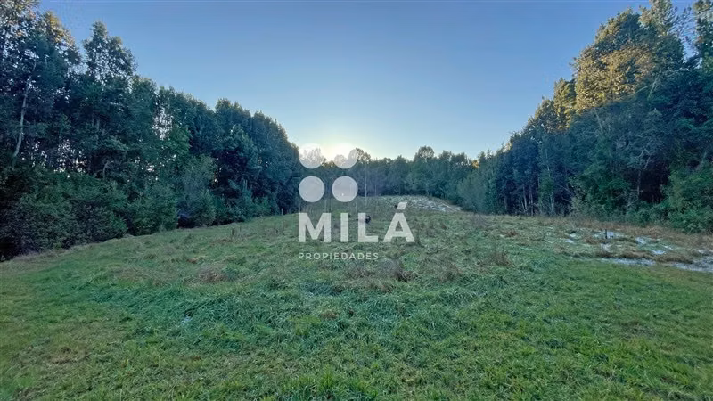 Venta parcela rodeada de naturaleza y excelente ubicación
