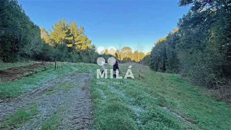 Venta parcela rodeada de naturaleza y excelente ubicación