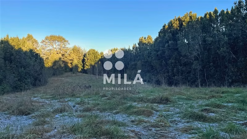 Venta parcela rodeada de naturaleza y excelente ubicación
