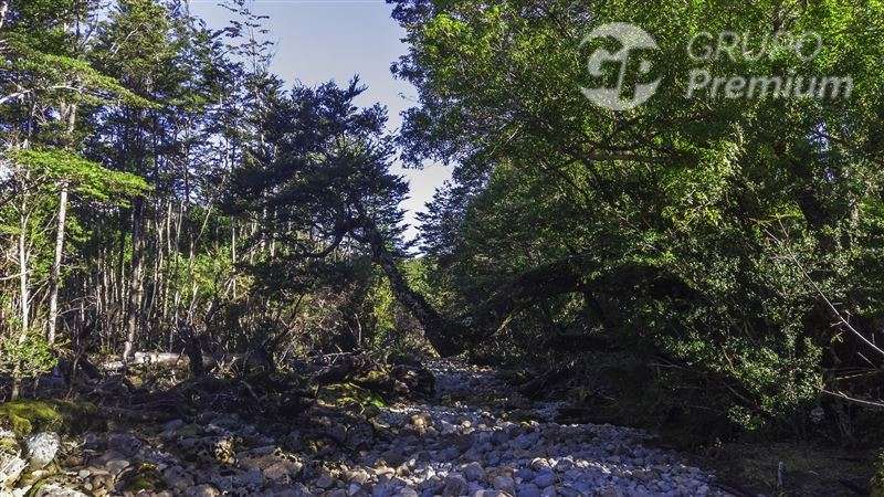 Parcela Agrícola con bosque nativo en venta en Lago Verde