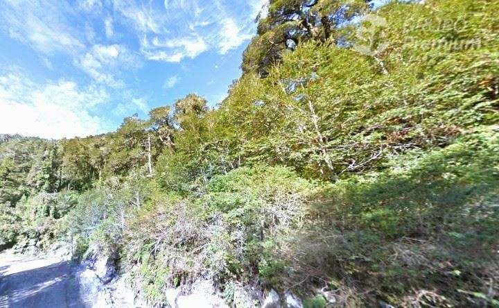 Parcela Agrícola con bosque nativo en venta en Lago Verde