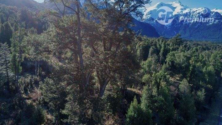 Parcela Agrícola con bosque nativo en venta en Lago Verde