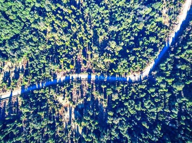 Parcela con Bosque Nativo Virgen en venta en Lago Verde