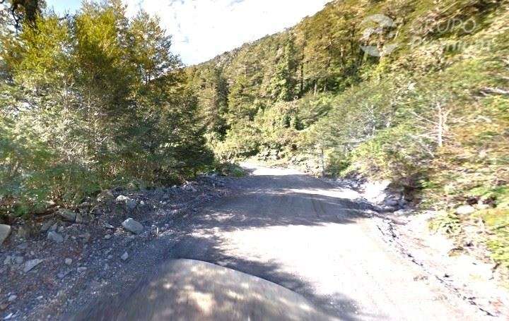 Parcela con Bosque Nativo Virgen en venta en Lago Verde