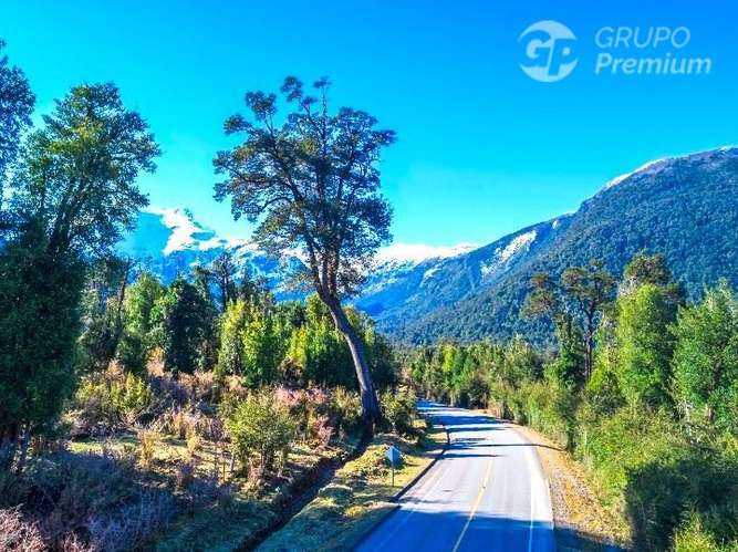 Parcela con Bosque Nativo Virgen en venta en Lago Verde