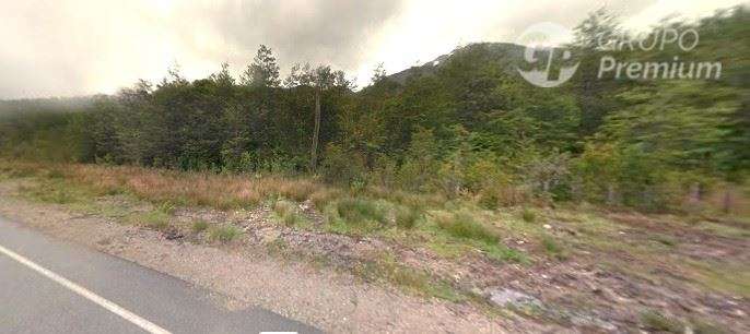 Parcela con Bosque Nativo Virgen en venta en Lago Verde