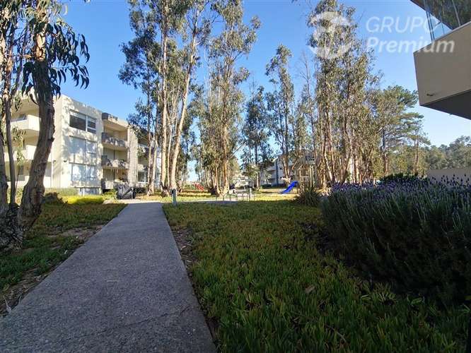 Departamento en venta de 2 dorm. en Algarrobo