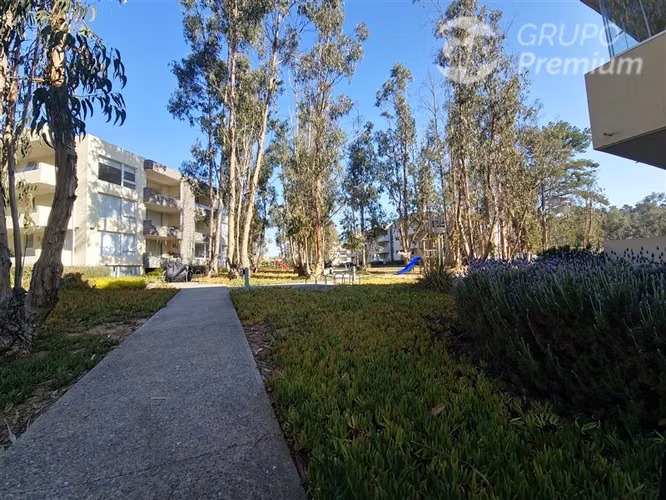 Departamento en venta de 2 dorm. en Algarrobo