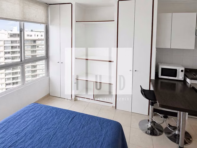 Amoblado studio, vista y estacionamiento! (175665)