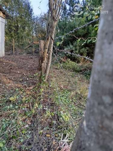 Sitio en venta en Nueva Imperial