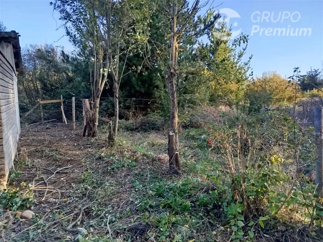 Sitio en venta en Nueva Imperial