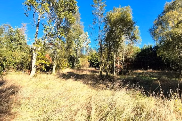 Tu parcela de ensueño en villarrica te espera