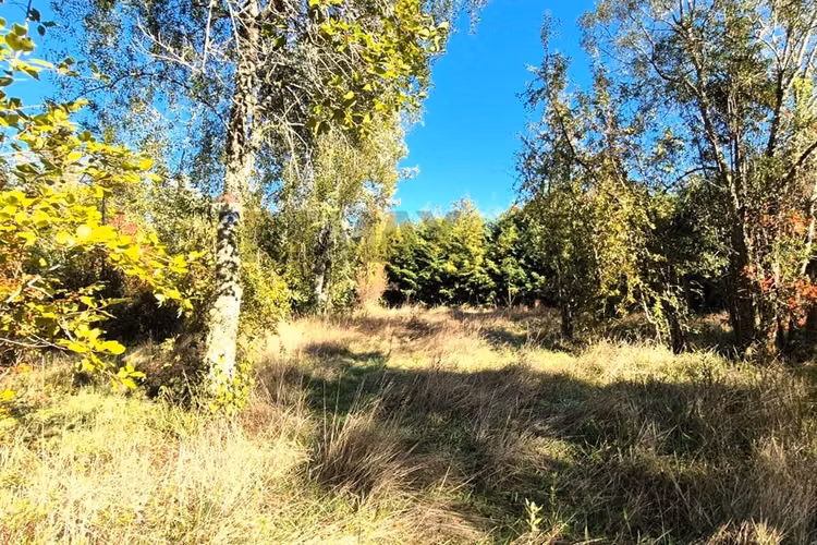 Tu parcela de ensueño en villarrica te espera